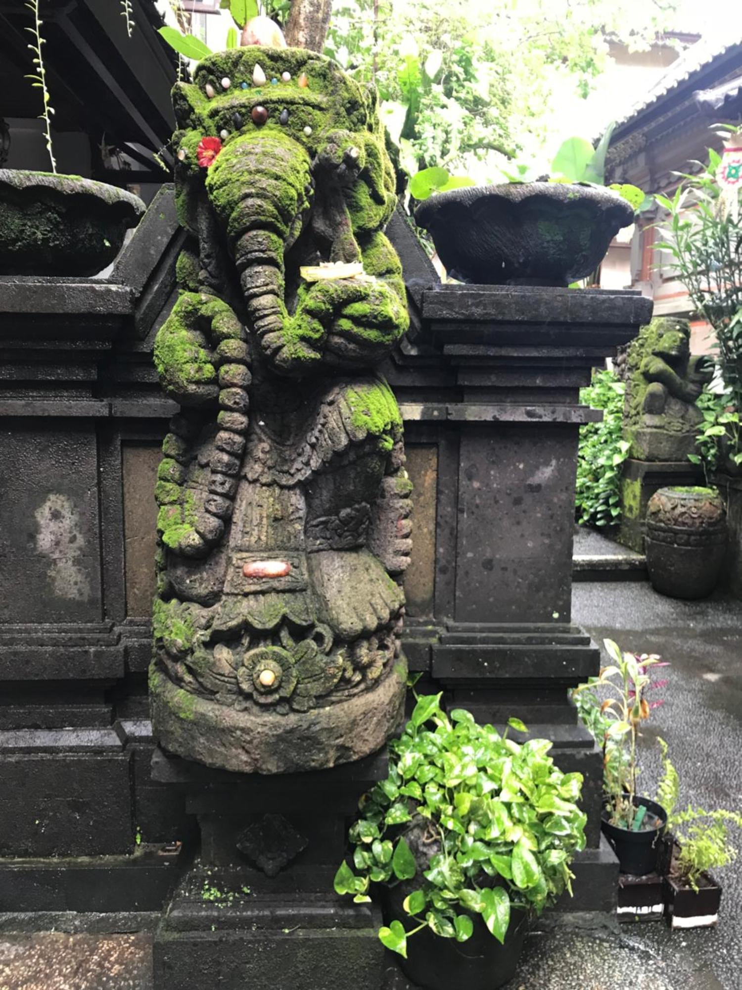 ウブドパンクン ハウスアパートメント エクステリア 写真